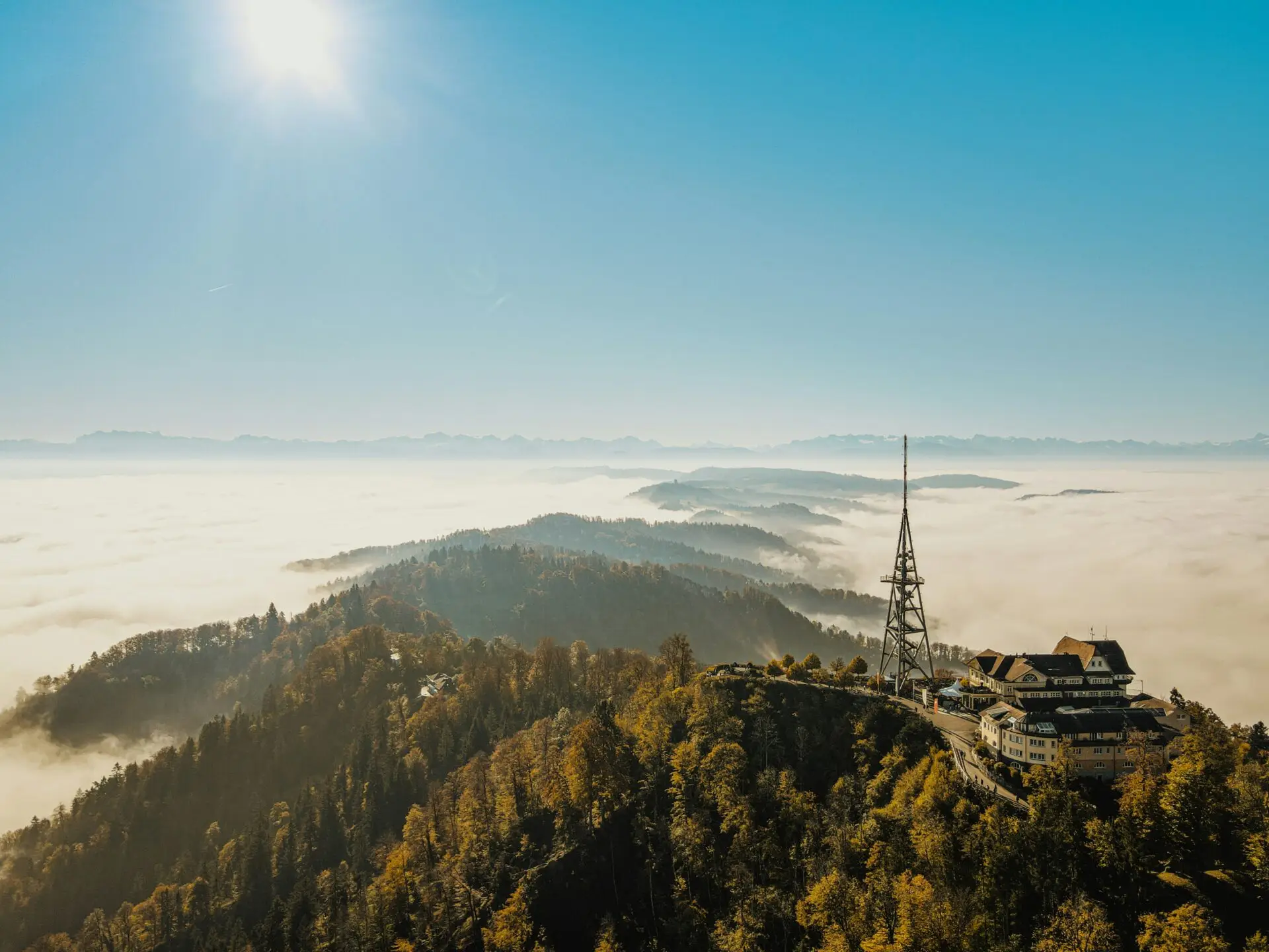 Panoramablick vom Uetliberg über Zürich und die Schweizer Alpen