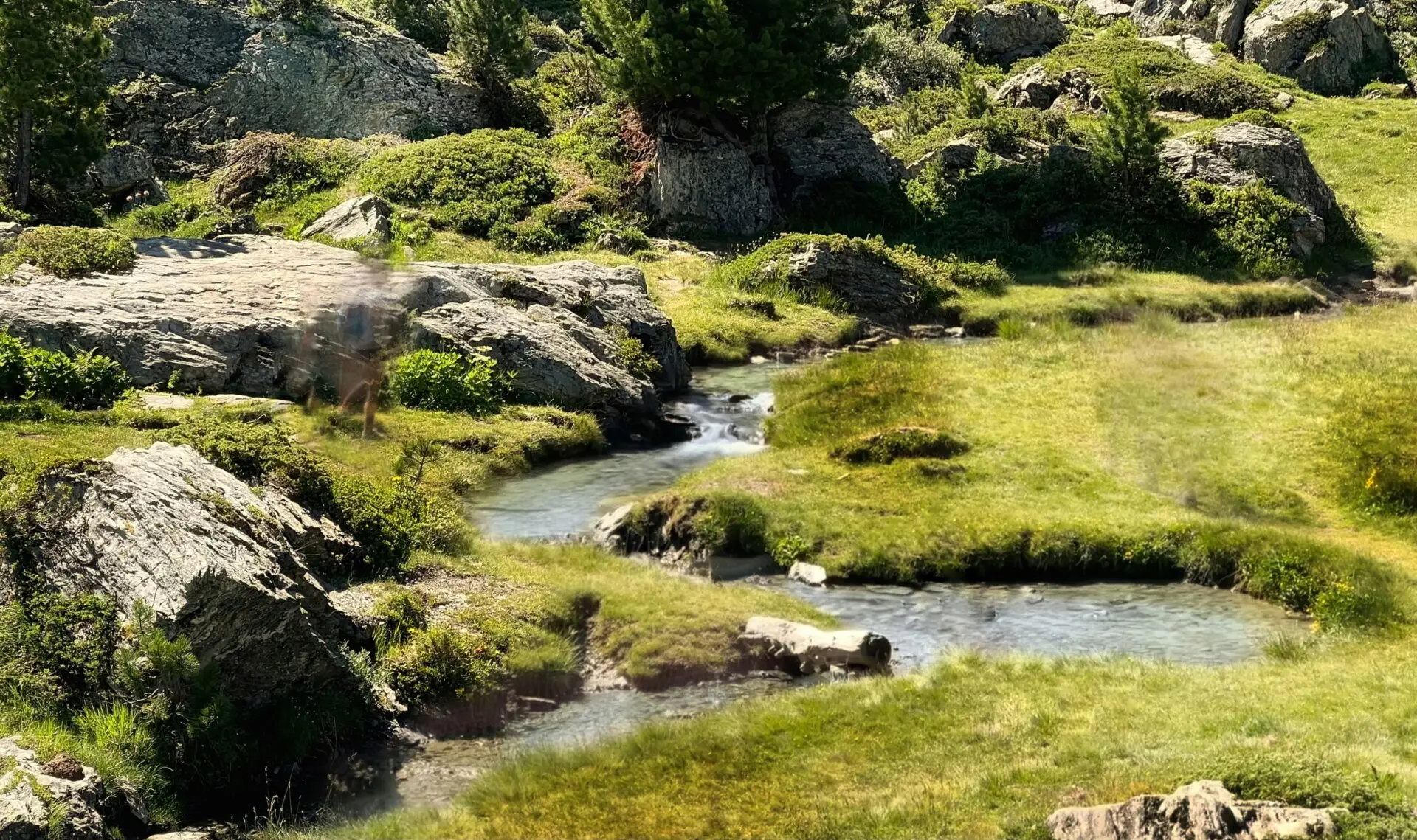 Natürlicher Bachlauf mit Vegetation und kühlem Wasser