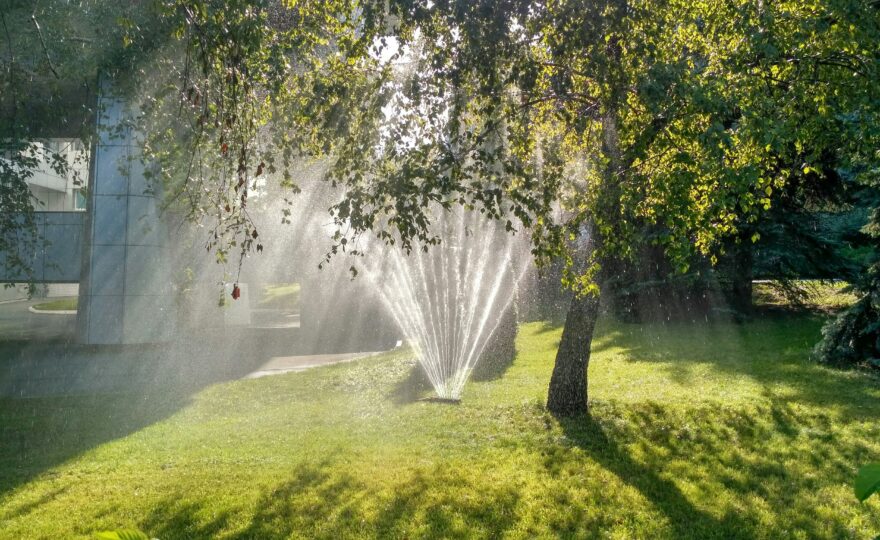 wasserverbot schweiz trockenheit, Rasensprenger bewässert einen Garten bei trockenem Sommerwetter