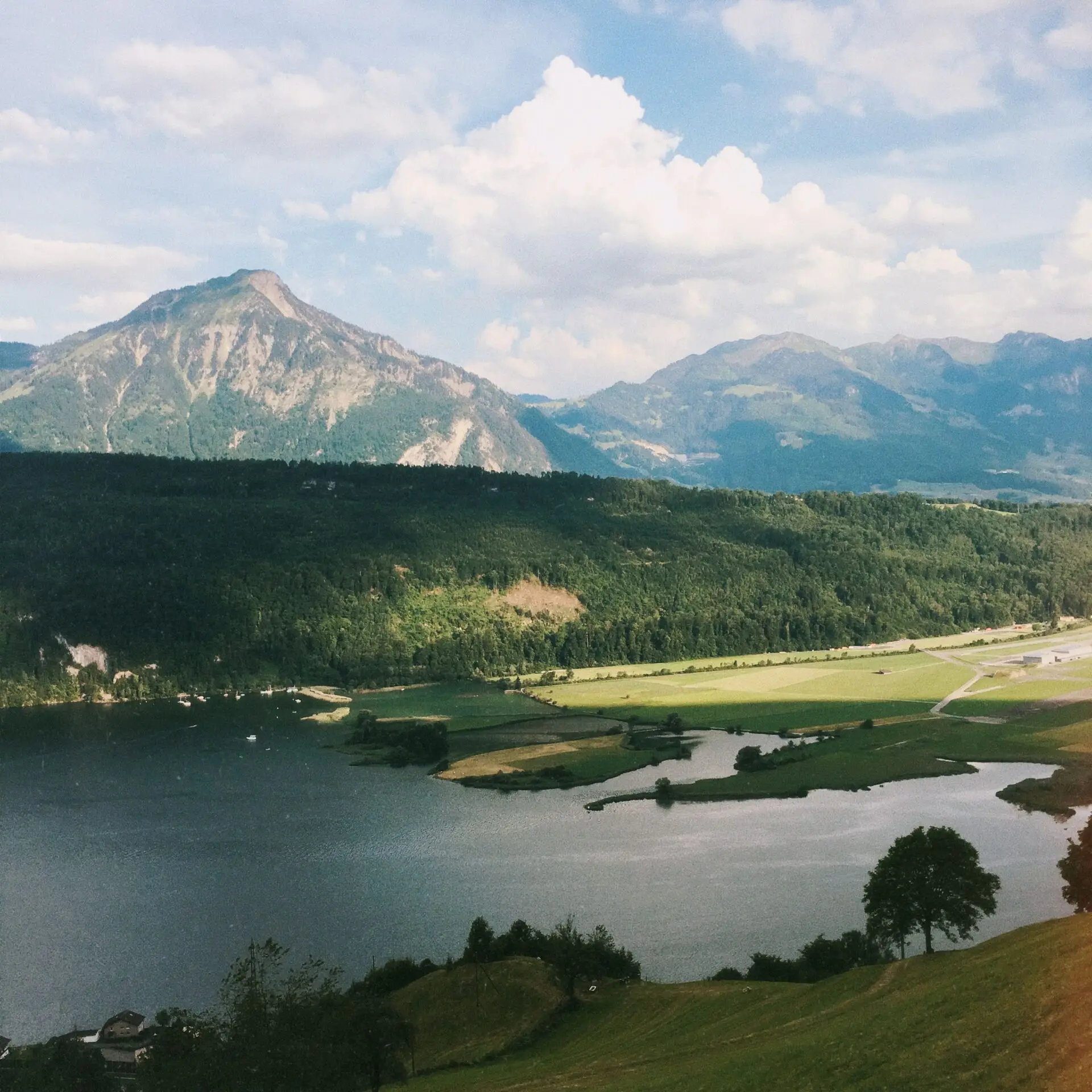Bewaldete Berglandschaft in der Schweiz mit See und Alpen